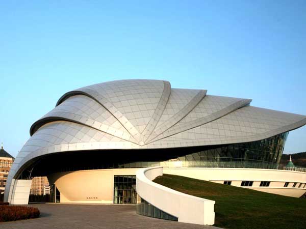 日照贝壳网架工程